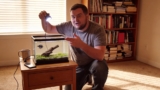 16 Best 3 Gallon Fish Tanks for 2026