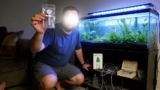 19 Best Aquarium CO2 Regulators for 2026