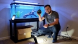 20 Best Aquarium Gadgets for 2026