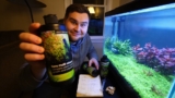 2 Best Aquarium Iron Supplements for 2026