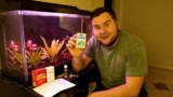 3 Best Aquarium IRON TESTs for 2026