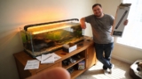 20 Best Aquarium Lighting Systems for 2026
