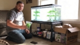20 Best Artificial Aquarium Plants for 2026