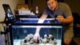20 Best Coral Frag Plugs for 2026 (Reef Tank Ready)