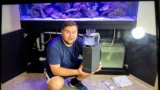 18 Best Nano Skimmers for 2026 (Reef-Ready Picks)