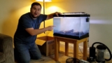 13 Best 20 Gallon Fish Tanks for 2026