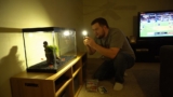 14 Best 5 Gallon Fish & Shrimp Tanks for 2026