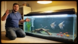 5 Best Air Stones For Aquariums (And What To Look For)