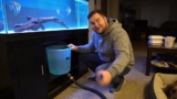 20 Best Aquarium Buckets for 2026