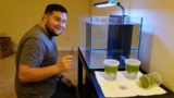 17 Best Aquarium Tissue Culture Cups for 2026
