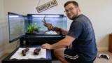 20 Best Aquarium Driftwood for 2026