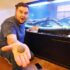 11 Best Coral Dipping Solutions for 2026