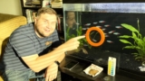 20 Best Aquarium Feeding Rings for 2026