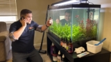 19 Best Aquarium Fertilizers for Thriving Fish Tanks in 2026