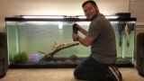 7 Best Filters for Fish Tanks (2024 Update)