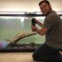 Peacock Eel: Essential Care Guide