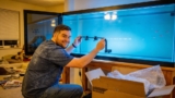 20 Best Aquarium Light Risers for 2026