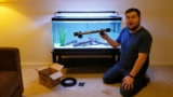 20 Best Submersible Aquarium Lights for 2026