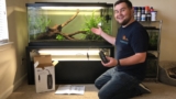 20 Best Aquarium Lighting Timers for 2026