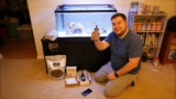 20 Best Aquarium Phosphate Removers for 2026