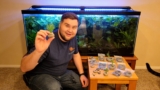 19 Best Aquarium Plant Weights for 2026