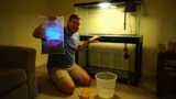19 Best Aquarium Sand for 2026 (Fish-Approved Picks)