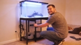 19 Best Aquarium Stands for 2026 (Show Off Your Tank)