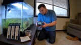 20 Best Aquarium Digital Thermometers for 2026