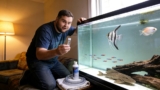 4 Best Aquarium Water Conditioners: Voted By 170 Fish Keepers