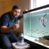 Bucktooth Tetra 101: Care, Feeding, Aggression, More
