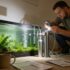 20 Best Goldfish Tanks for 2026
