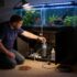 20 Best Aquarium Return Pumps for 2026
