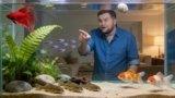 15 Easy To Breed Fish And How To Care For Them