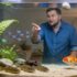 The Science of Aquariums: Writing About Ecology, Biology, and Sustainability