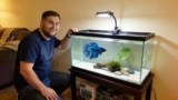 Best Betta Fish Tanks: Top 5 For 2024 And Beyond