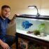 Fiddler Crab Care: Habitat, Food, Tank Mates, Setup