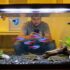 Dwarf Crayfish Care: Tank Mates, Food, Size  More