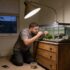 Crayfish Menu Revealed: Wild and Tank Diets