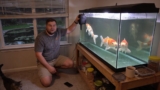 18 Best Pond Fish Feeders for 2026 That Koi Will Love