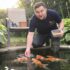 Enhancing Your Angelfish Habitat: A Guide to the Best Live Plants for Your Aquarium