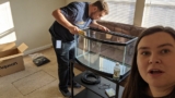 7 Best Bow Front Aquariums for 2026