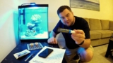 11 Best Coral Glues for 2026 (Reef Safe & Strong)