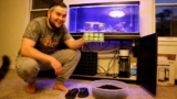 20 Best Frag Racks for 2026 (Reef Tank Must-Haves)