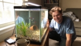 Best Small Fish Tank  Our Top Pick