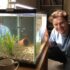 Rabbit Snails: The Peaceful Cleanup Crew You’ll Love