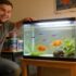 Discus Fish Care Guide: Expert Tips For Beginners