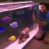 How Many Fish Can You Keep In A 20 Gallon Tank?