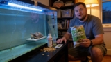 19 Best Turtle Foods for 2026 (Happy Shell, Happy Life)