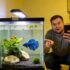 Bloodworms: Fresh, Frozen, Freeze‑Dried Options
