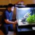 EVERY Cause Of Cloudy Aquarium Water (& Solutions)